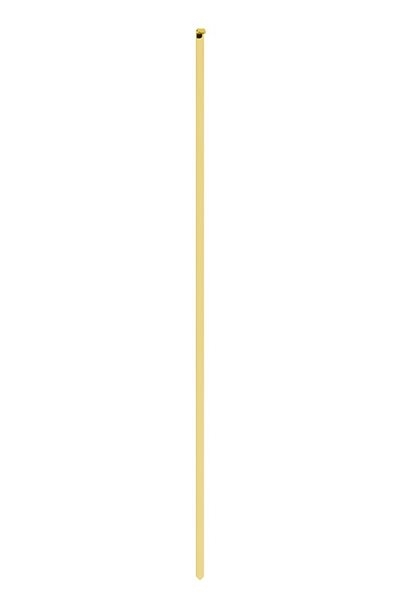 img.jpg