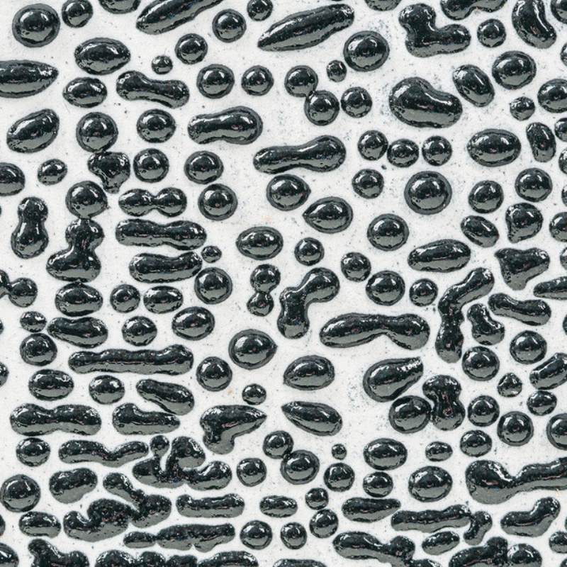 8755.jpg