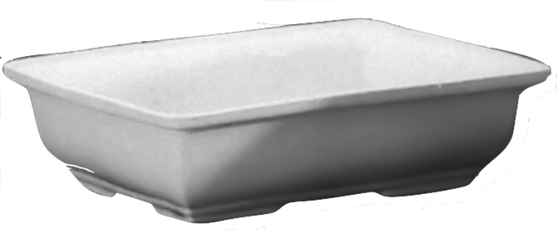 img.jpg