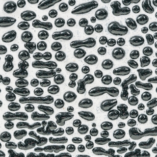 8755.jpg
