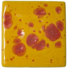9592.jpg