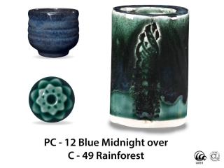 large_pc-12_over_c-49_rainforest_web_f675cfb8.jpg
