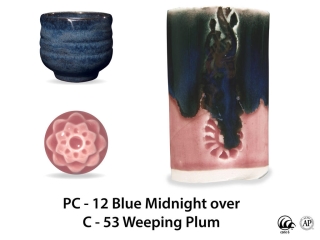 large_pc-12_over_c-53_weeping_plum_web.jpg