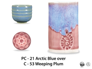 large_pc-21_over_c-53_weeping_plum_web.jpg