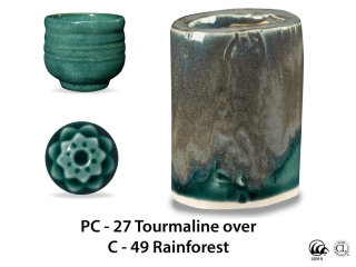 large_pc-27_over_c-49_rainforest_web.jpg