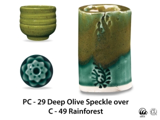 large_pc-29_over_c-49_rainforest_web.jpg