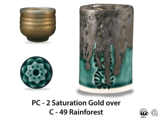 large_pc-2_over_c-49_rainforest_web.jpg