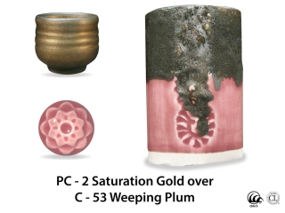 large_pc-2_over_c-53_weeping_plum_web.jpg