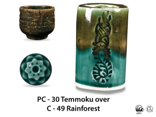 large_pc-30_over_c-49_rainforest_web.jpg