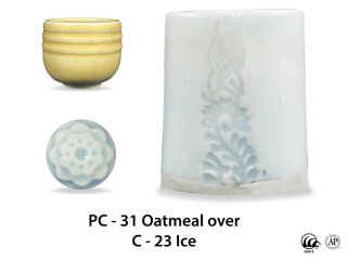 large_pc-31_over_c-23_ice_web.jpg