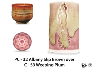 large_pc-32_over_c-53_weeping_plum_web_29f758d9.jpg