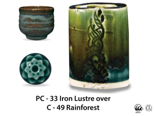 large_pc-33_over_c-49_rainforest_web.jpg