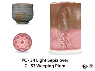 large_pc-34_over_c-53_weeping_plum_web_4cc1944a.jpg