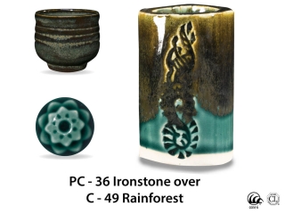 large_pc-36_over_c-49_rainforest_web_ea25137a.jpg