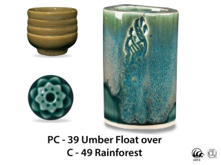 large_pc-39_over_c-49_rainforest_web.jpg