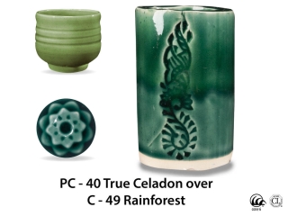 large_pc-40_over_c-49_rainforest_web.jpg