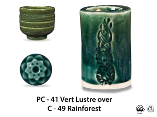 large_pc-41_over_c-49_rainforest_web_c5d3f708.jpg
