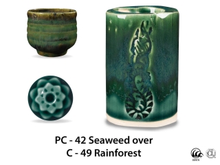 large_pc-42_over_c-49_rainforest_web.jpg