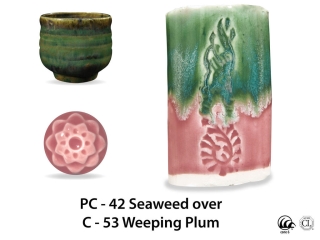 large_pc-42_over_c-53_weeping_plum_web.jpg