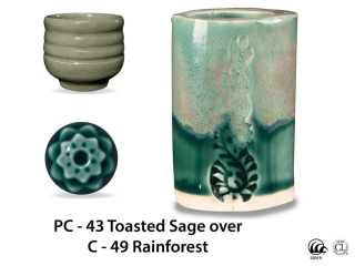 large_pc-43_over_c-49_rainforest_web.jpg