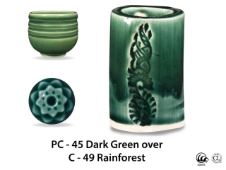 large_pc-45_over_c-49_rainforest_web_c752b88e.jpg