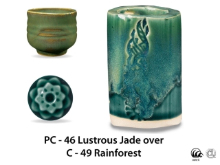 large_pc-46_over_c-49_rainforest_web.jpg