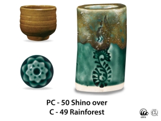 large_pc-50_over_c-49_rainforest_web.jpg