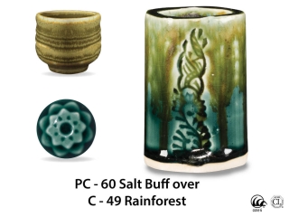 large_pc-60_over_c-49_rainforest_web.jpg