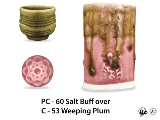 large_pc-60_over_c-53_weeping_plum_web.jpg